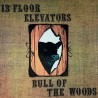 13TH FLOOR ELEVATORS "Bull Of The Woods" CD